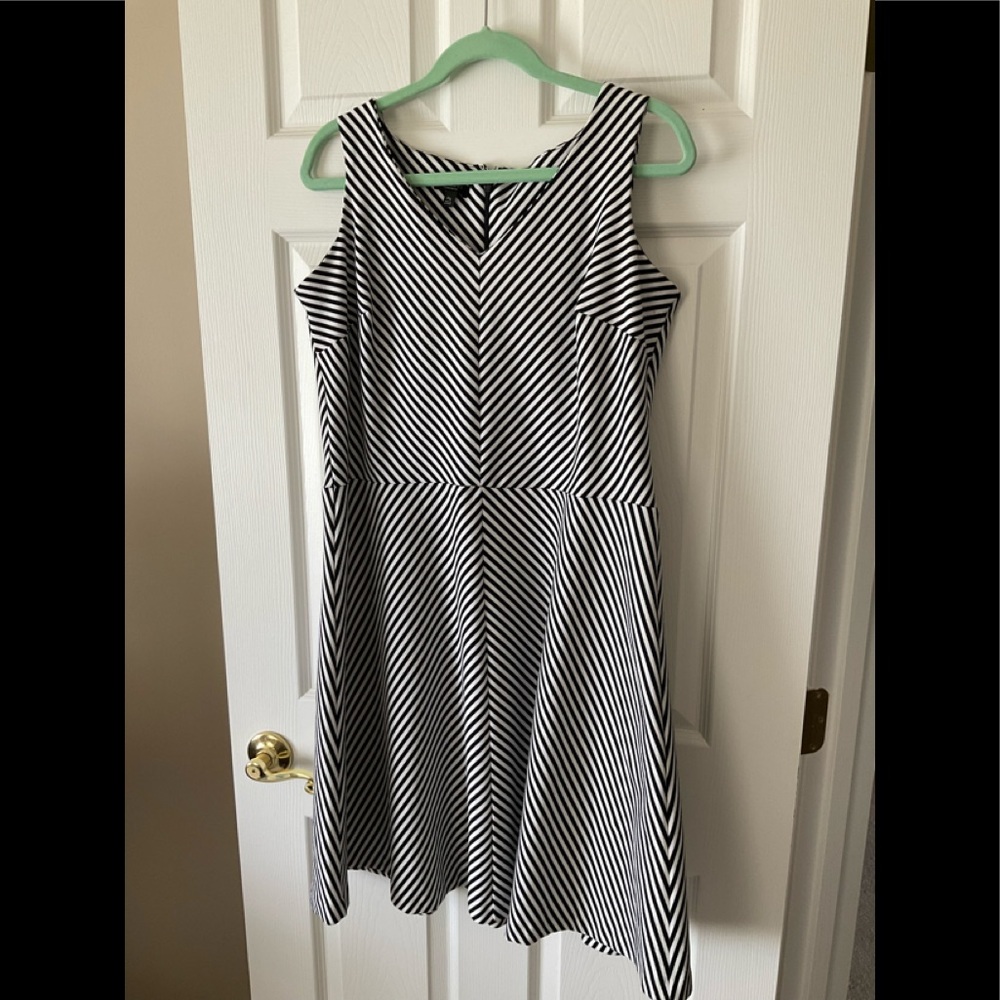 Talbots Knit Skater Dress